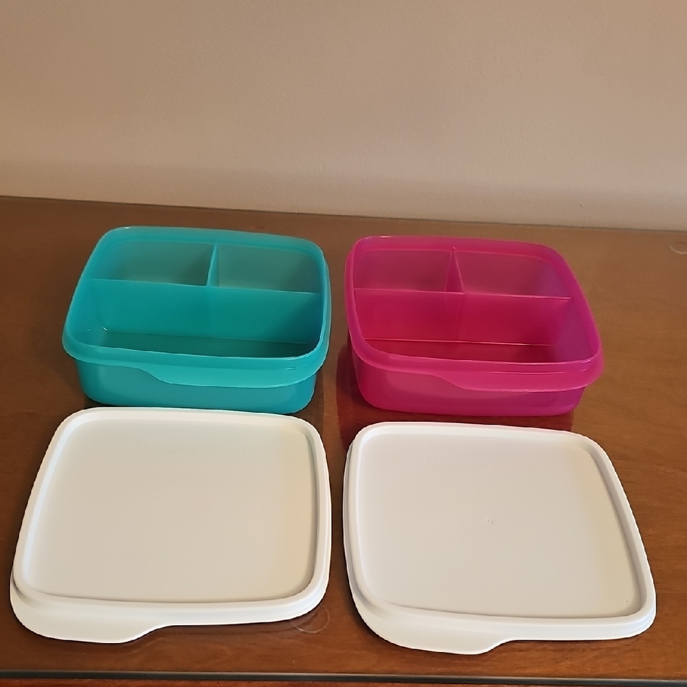 Tupperware Teal and Pink Divided Containers with White Lids